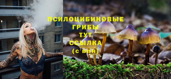 PSILOCYBIN Богданович